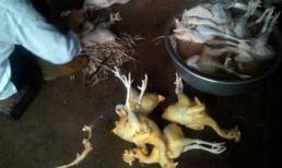 Top 5 loại thực phẩm 'ngậm' hóa chất