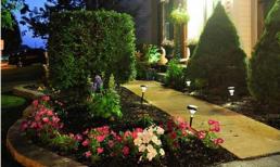 Mê mẩn vườn thiên đường của mẹ Việt trên đất Mỹ