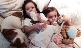  Cặp song sinh nhà Hồng Nhung nằm tu sữa cực yêu