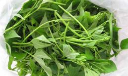 Công dụng thần kỳ và bất ngờ từ rau khoai lang