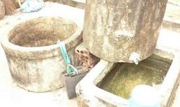 Phát hiện thi thể hai mẹ con chết bất thường dưới giếng
