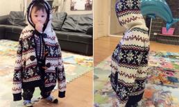 Con trai Lã Thanh Huyền 'hóa' chim cách cụt dễ thương 