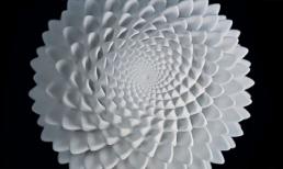 Hoa mắt với những tác phẩm điêu khắc 3D có một không hai