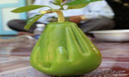 Tết Nguyên đán 2015: Những đặc sản quý hơn... vàng!