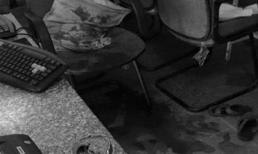 9X cầm gạch đánh chết người trong quán Internet