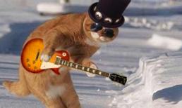 Tết này “nổ pháo cười” với văn nghệ sĩ