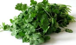 Lợi ích sức khỏe của rau mùi ít người biết đến
