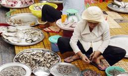 Tràn lan tôm độc hại ở chợ