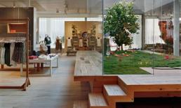 20 thiết kế vườn tuyệt đẹp mang cả thiên nhiên vào nhà