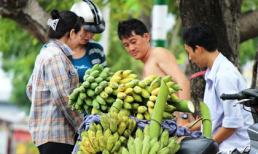 Chuối Tết khan hiếm, lăm le tăng giá cả chục lần
