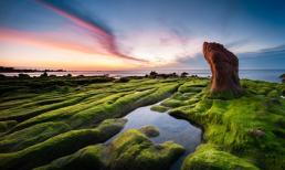 Ghé 'kỳ quan' biển Cổ Thạch mùa rêu xanh