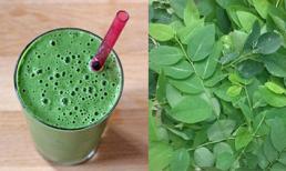 Tác dụng thần kỳ của rau ngót với trẻ nhỏ