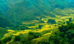 Sa Pa được lựa chọn là điểm đến hấp dẫn nhất 2015