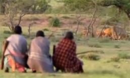 3 người đàn ông liều mạng cướp mồi của bầy sư tử
