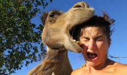 Những bức ảnh độc 'khó đỡ' nhất thời đại