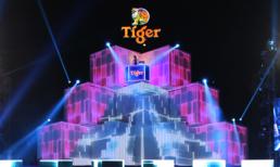 “Cơn bão” Tiger Remix 2015 sắp 'đổ bộ' vào Thành phố Hồ Chí Minh
