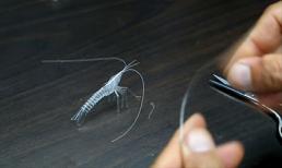 Cách làm một con tôm bằng ống hút