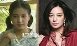 Triệu Vy lộ loạt ảnh 'mũm mĩm' 20 năm trước