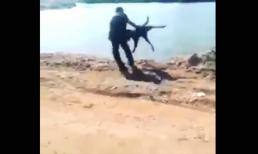 Chết cười với cảnh cho chó đi tắm