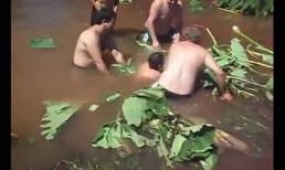 Tai nạn dở khóc dở cười khi nhổ cây