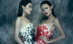 Vẻ đẹp gây ám ảnh của hai chân dài VNTM