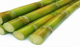 Những lợi ích tuyệt vời của mía