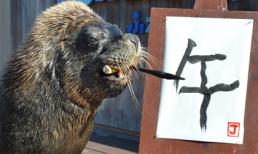 Chơi chợ chữ, cấm chửi