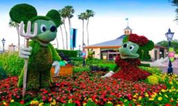 Tuyệt tác từ cây cỏ ở khu vườn Montreal Botanical 