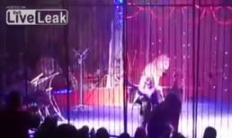 Màn 'chào sân' đầy giật gân của cô gái và bầy sư tử