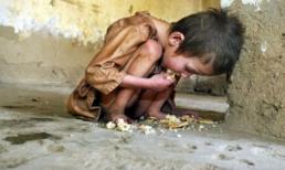 Những bức ảnh về cuộc sống sẽ khiến bạn rơi lệ