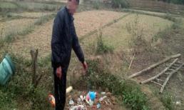 Vụ đẩy mẹ chồng xuống giếng: Mâu thuẫn từ ngày cưới