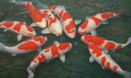 Thả cá chép tiễn ông Công ông Táo đúng cách