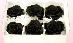 Hoa hồng đen 250.000 đồng/bông bung hàng dịp Valentine