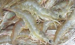 Nguy hiểm khi ăn phải thực phẩm bơm tạp chất trong dịp Tết