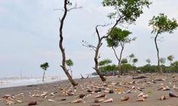 Đến biển Ba Động những ngày giáp Tết