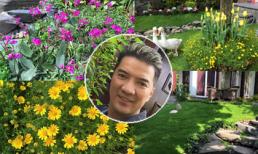 Đàm Vĩnh Hưng khoe vườn nhà tràn ngập sắc xuân