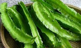 Chữa đau bao tử bằng đậu rồng