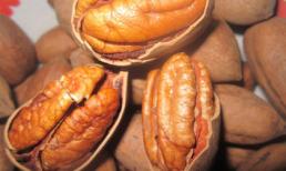 Những thực phẩm 'vàng' tăng sức đề kháng cho trẻ dịp Tết