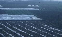 Án mạng kinh hoàng tại Bắc Giang ngày giáp Tết