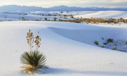 Ba đồi cát đẹp nhất miền Trung