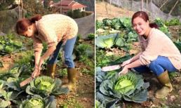 Hoàng Thùy Linh xinh tươi và giản dị đi thu hoạch rau