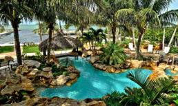 10 bước để sở hữu khu vườn nhiệt đới đầy sức sống