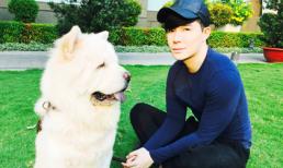  Nathan Lee thảnh thơi đưa cún cưng đi dạo phố