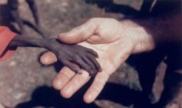  Những bức ảnh gây xúc động cả thế giới