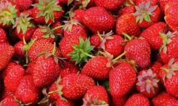 Những 'siêu thực phẩm' tốt cho thận bạn nên bổ sung