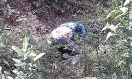 Phát hiện thi thể nữ sinh bị phân hủy trong rừng 