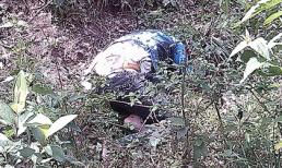 Nữ SV chết trong rừng: Hé lộ nguyên nhân tử vong