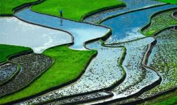 Ruộng bậc thang Việt Nam là một trong top 10 cảnh đẹp thế giới  