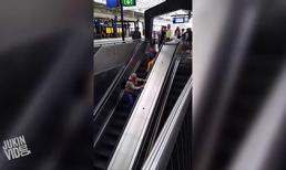 'Tập thể dục' với thang cuốn