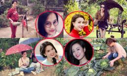 Sao Việt thích thú trải nghiệm cuộc sống giản dị ở quê